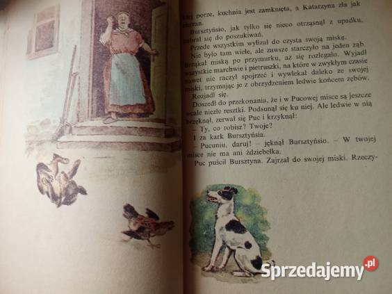 Puc Bursztyn i Goście JGrabowski lektura szkoła łódzkie Łódź