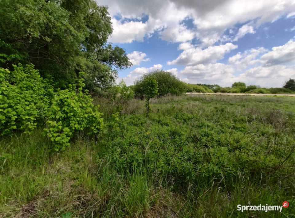 Działka budowlana z warunkami zabudowy 1330m Sprzedaż Linów