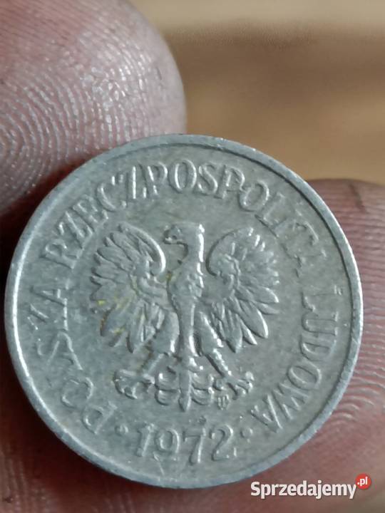 sprzedam 10 gr 1972 zzm Chełm