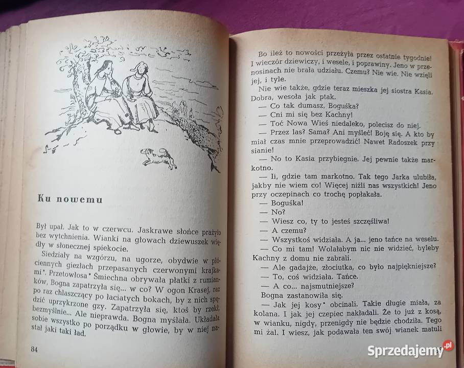 Jadwiga i Anna Chamiec Gniewko z Turoboi Wyd I Koźminek sprzedam