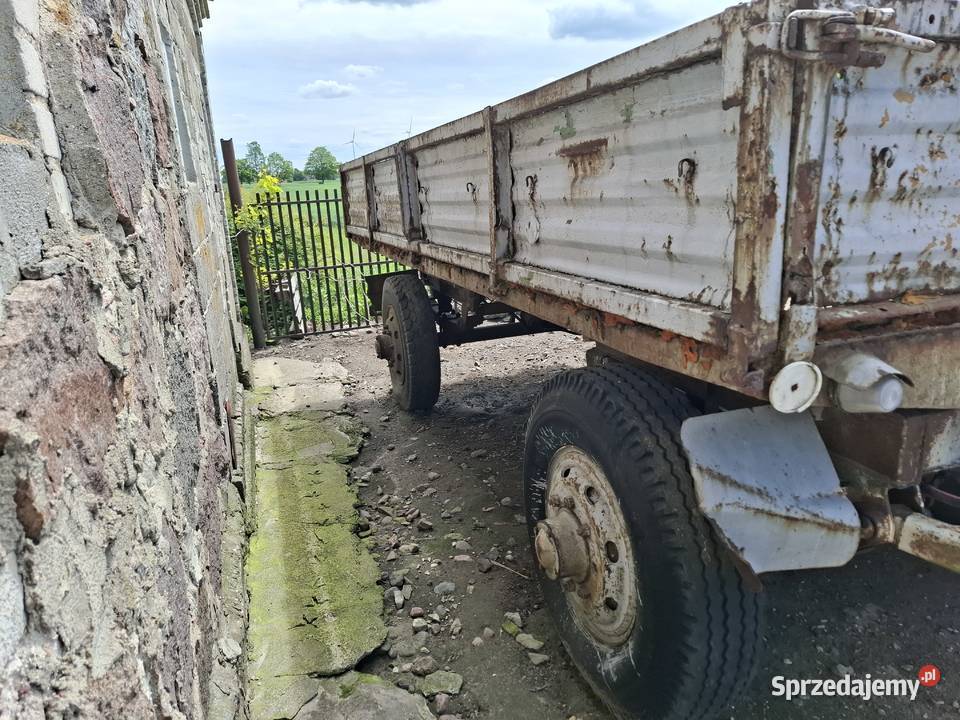 D50 mazowieckie Gąbin