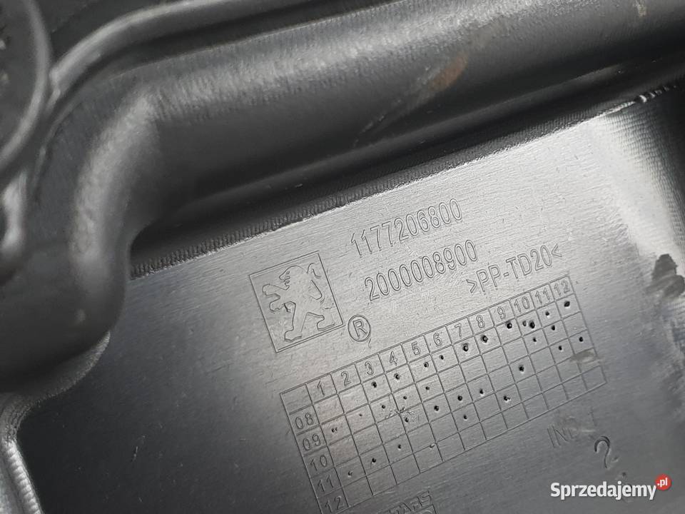 SCHOWEK KUFER PEUGEOT EVIVACITY Janowice sprzedam