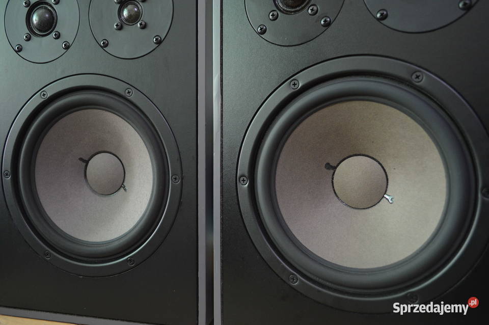 Fenomenalne CANTON FONUM 100 Perfekcyjne HiFi podkarpackie