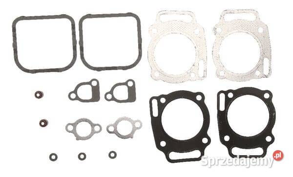 Uszczelka głowicy cylindra 842723 Kamionna