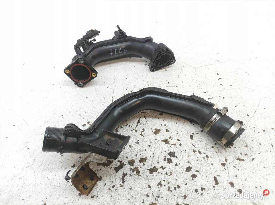 DOLOT POWIETRZA KOMPLET 15 TDCI ECOBLUE Ford Rok produkcji 2017