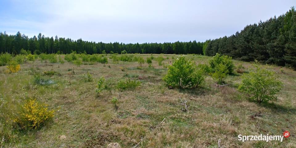 Dzialak rolnobudowlana malownicza okolica
