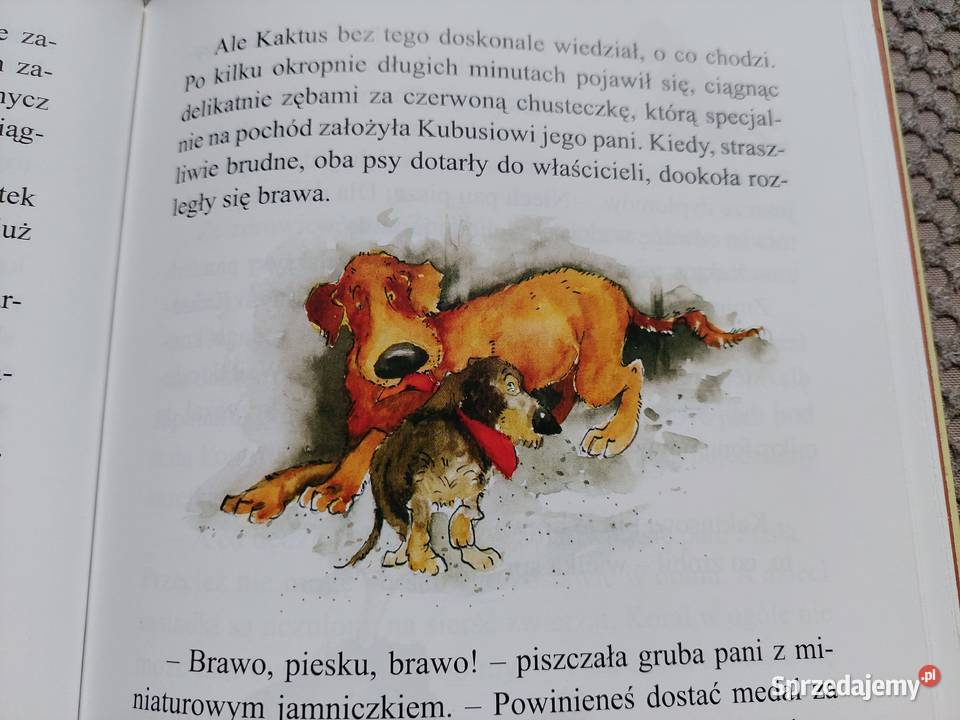 Kaktus szukaj Barbara Gawryluk Kraków sprzedam