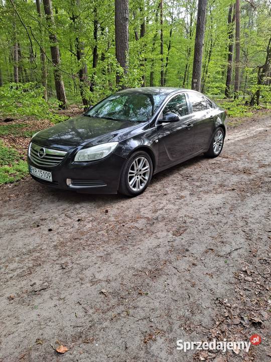 Opel Insignia 20cdti Kobylin