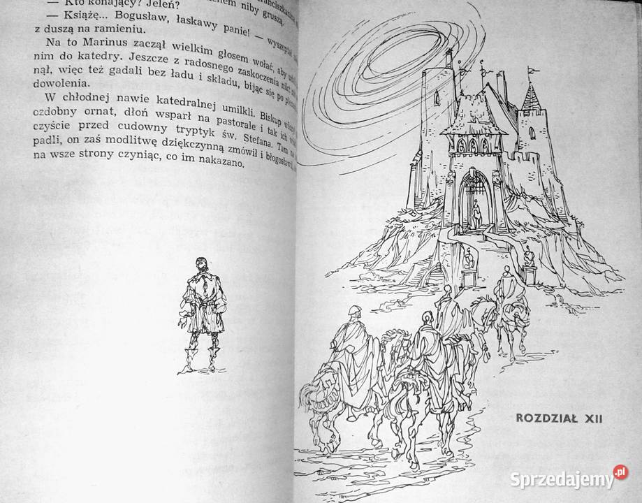 Czerwony sokół Mściciel przypływa z Rugii lubelskie Chełm