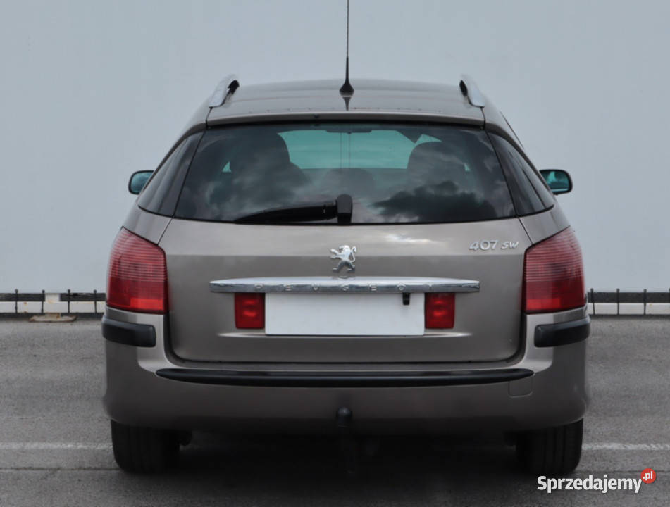 Peugeot 407 20 16V czujnik zmierzchu Lublin