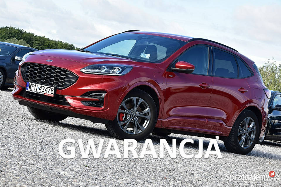 Ford Kuga 25 PHEV STline Ful Led Alcantara Navi wielofunkcyjna kierownica Nowe Kucice