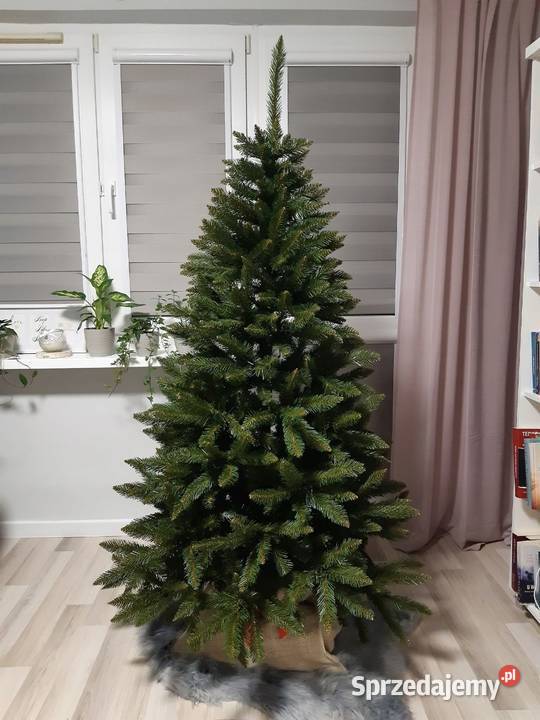Choinka sztuczna Świerk Kaukaski 100 zielony Koziegłowy