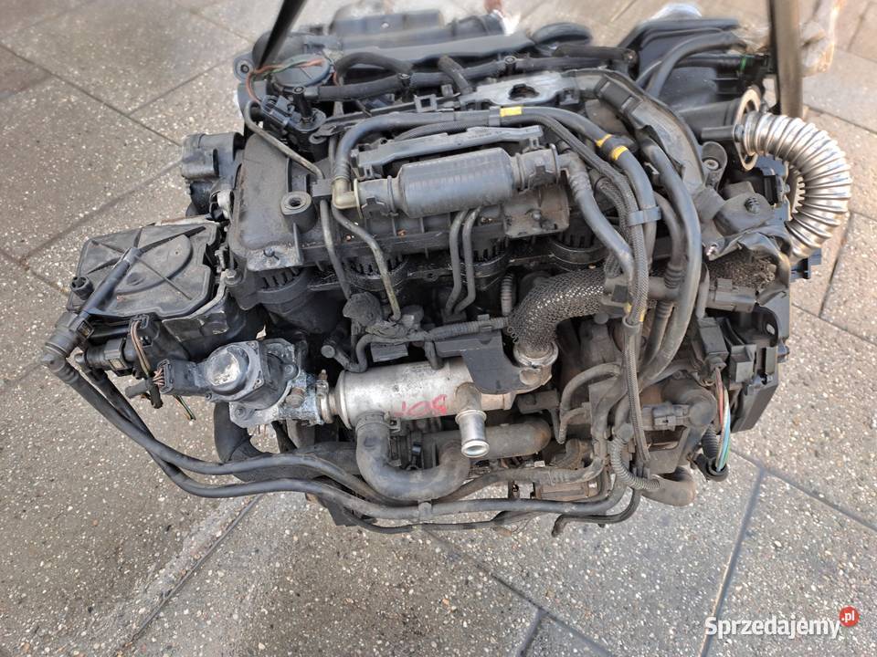 Citroen Peugeot Ford 16 HDi 109 silnik kompletny Silniki kompletne