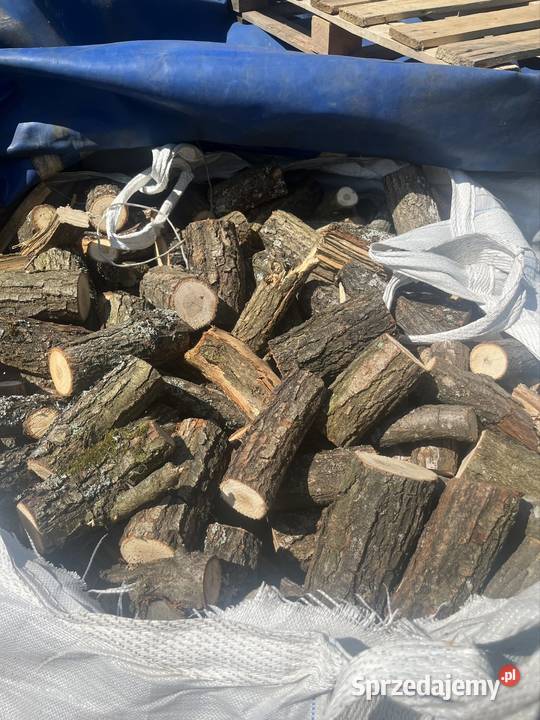 Drzewo drewno liściaste dębina bigbag suche Zwoleń