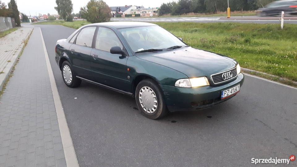 Audi A4 zielony Września