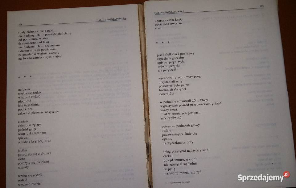 Kaskaderzy literaturyO twórczości i legendzie Łódź