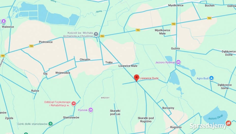 Działka w okolicy 1100m kąpielisko stadnina koni Sprzedaż Lisiewice Duże
