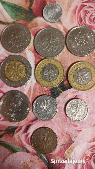 monety Euro centy euro złot Numizmatyka Kolekcje Gliwice