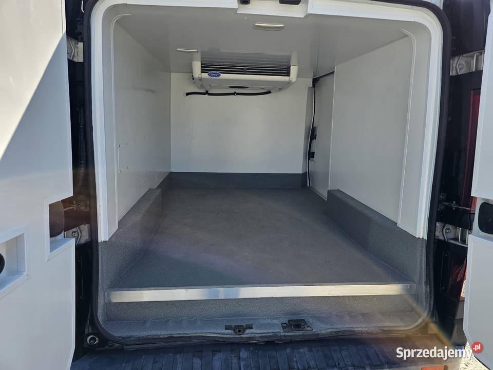 Vivaro trafic chlodnia mroznia carrier 230v tempomat Opel Samochody dostawcze podkarpackie