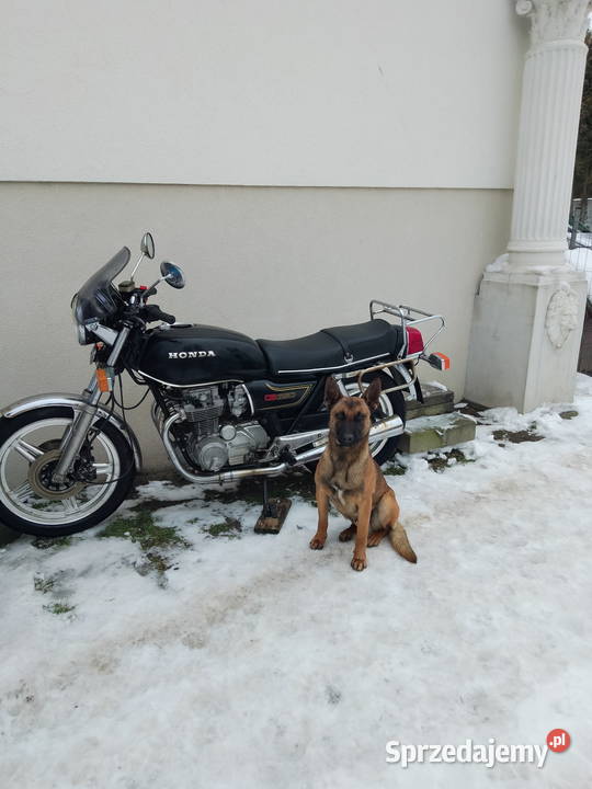 Emblemat Honda CB 650 RC03 Skarżysko-Kamienna