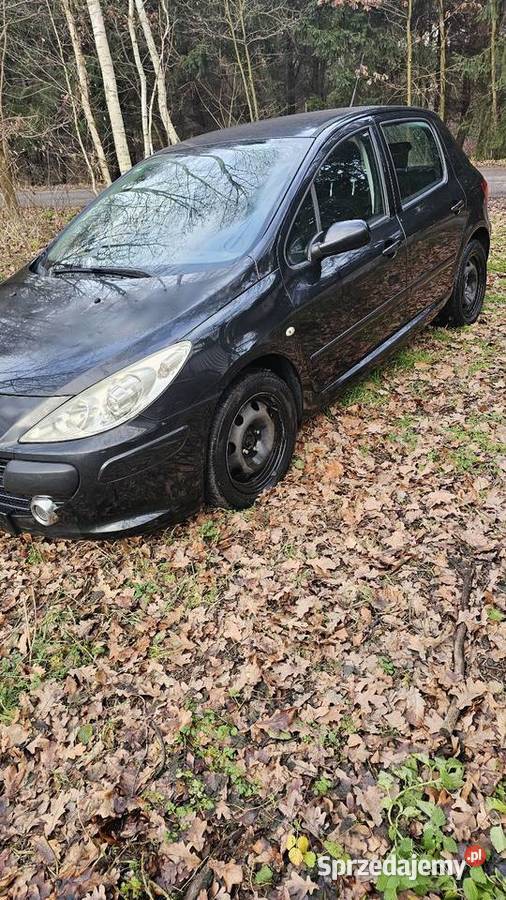 Peugeot 307 14 16v wielkopolskie Sątopy