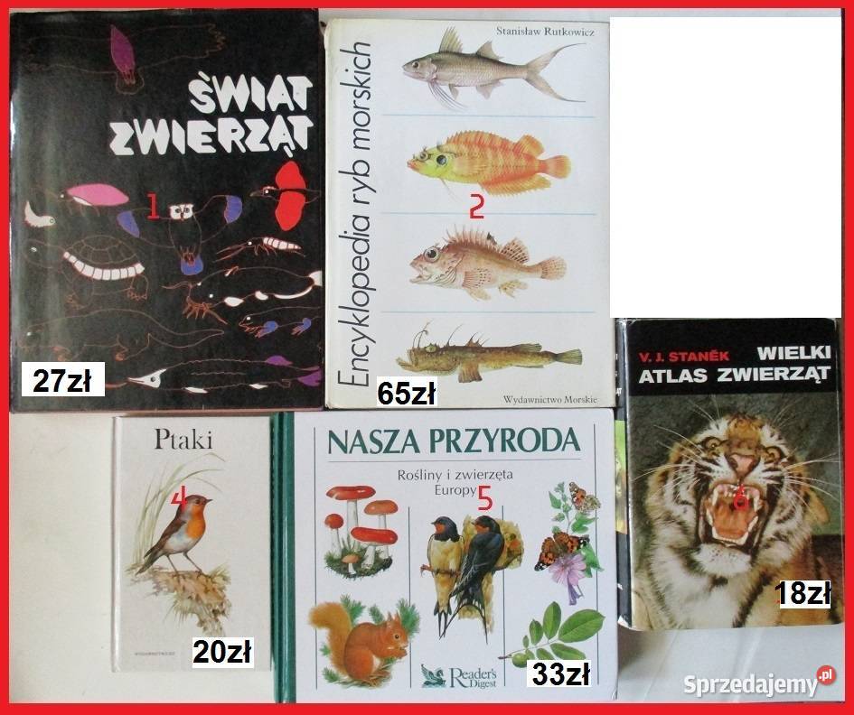 Fizjologia zwierząt MSGordon fizjologia biologia biologia, ekologia Łódź