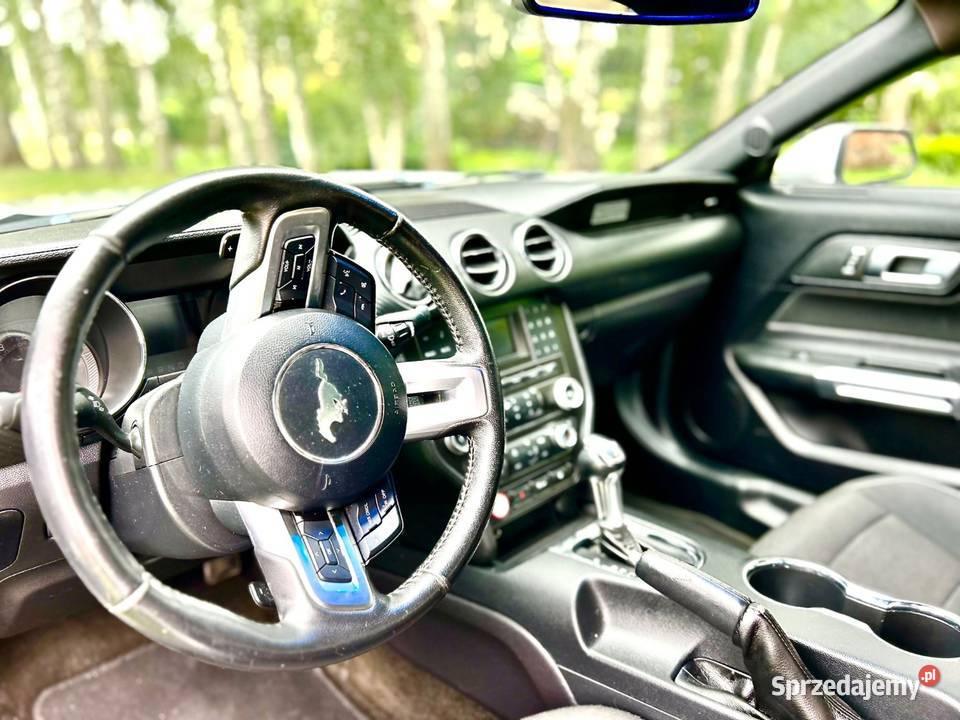 Mustang 37 2016 Skierniewice