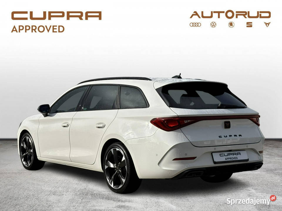 Cupra Leon SP 15 eTSI 150 DSG 2023 Bezwypadkowy świętokrzyskie Kielce sprzedam