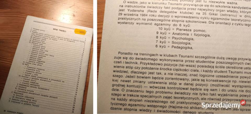 KarateDo Shugyo praktyka karate do Pierwsza ISBN 9788375527162 Kielce