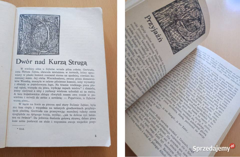 Tajemnica złotego pierścienia Janina Kielce