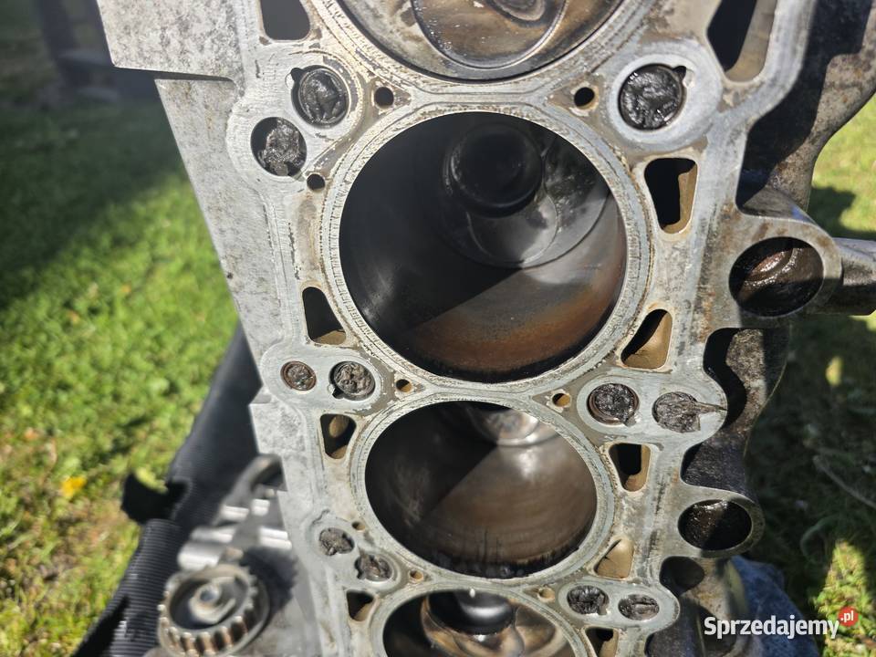 Blok Silnika Vw T5 25 TDI BNZ 070 103 021L Skawina