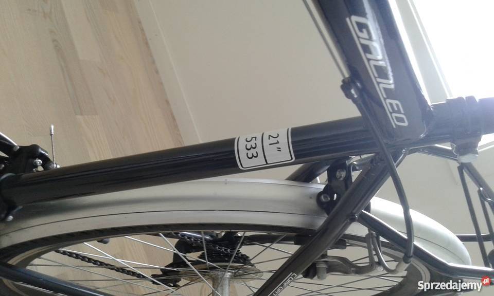 Kands GALILEO trekingowy męski 21