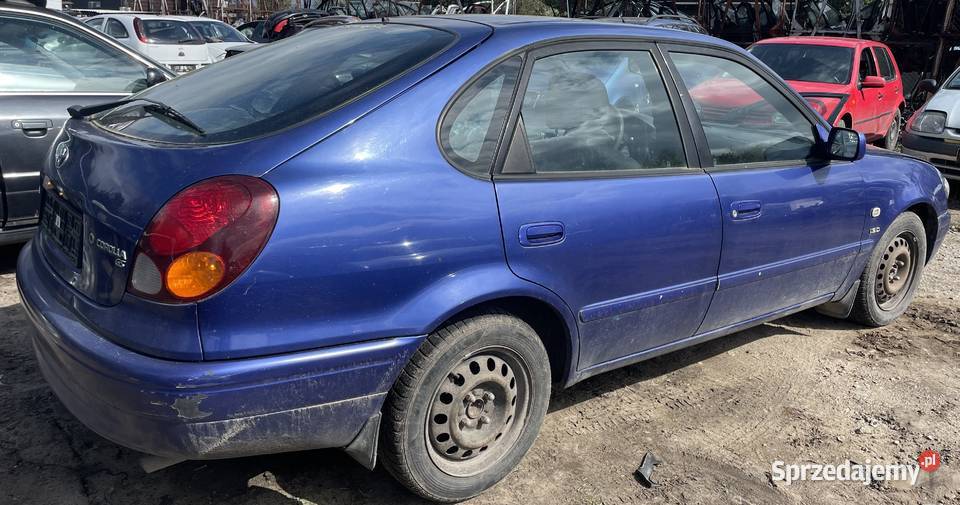 Toyota Corolla VIII E11 Lift FL 19 kolor 8L5 NA Piotrków Trybunalski