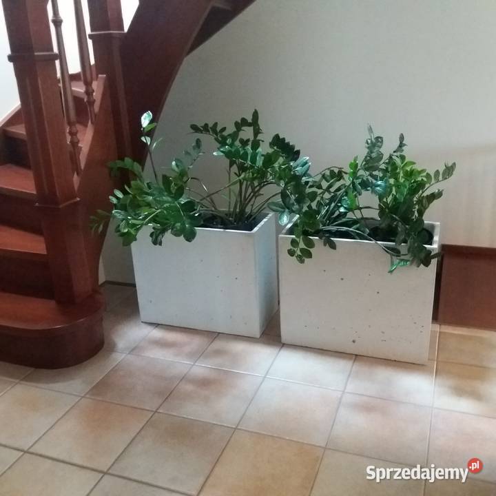 Donica betonowa Slim 60x30x50 Donice betonowe