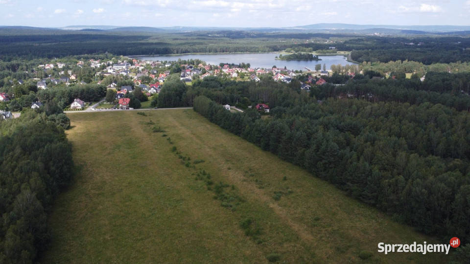 Grunt Daleszyce 23170m2 gaz Sprzedaż świętokrzyskie