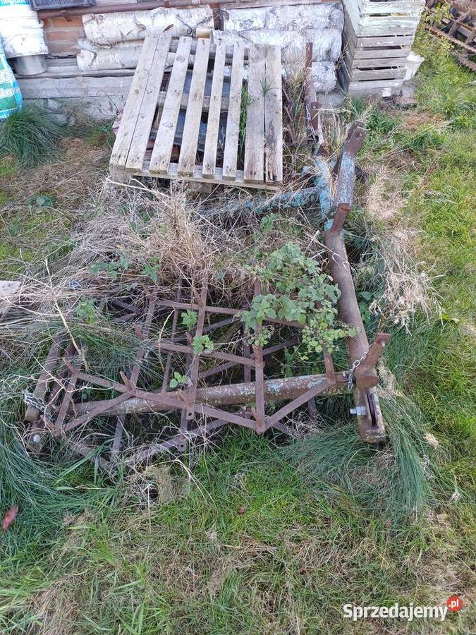 Brony lekkie 5ki Wilczopole