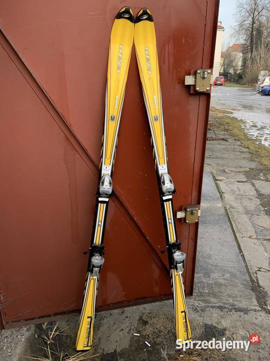 Narty zjazdowe Dąbrowa Górnicza