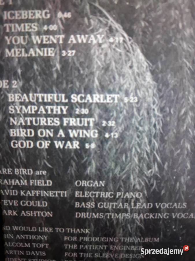 Archiwum progpsych rocka RARE BIRD Rare Bird Rzeszów