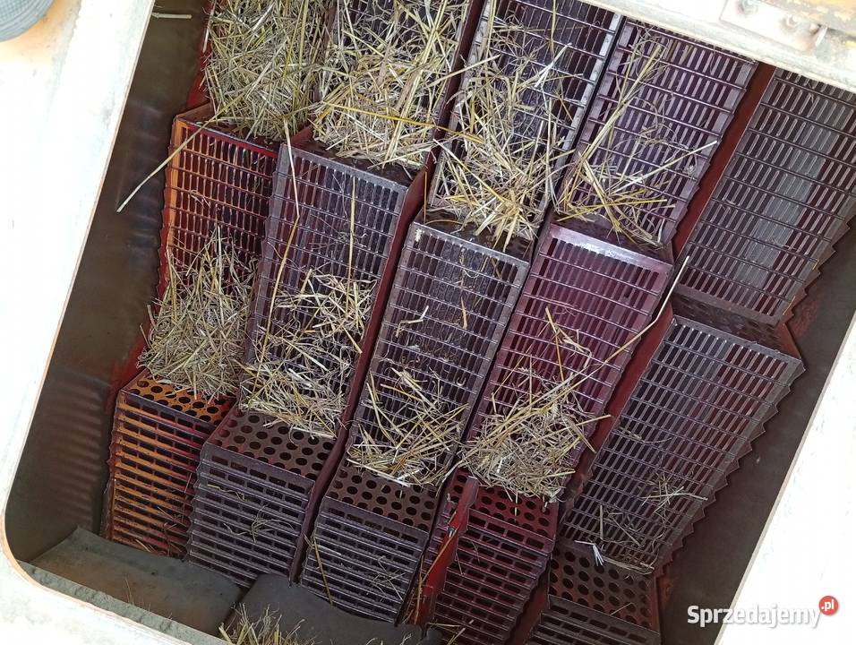 Sprzedam bizona ZO56 nieuszkodzony łódzkie Boczki Chełmońskie