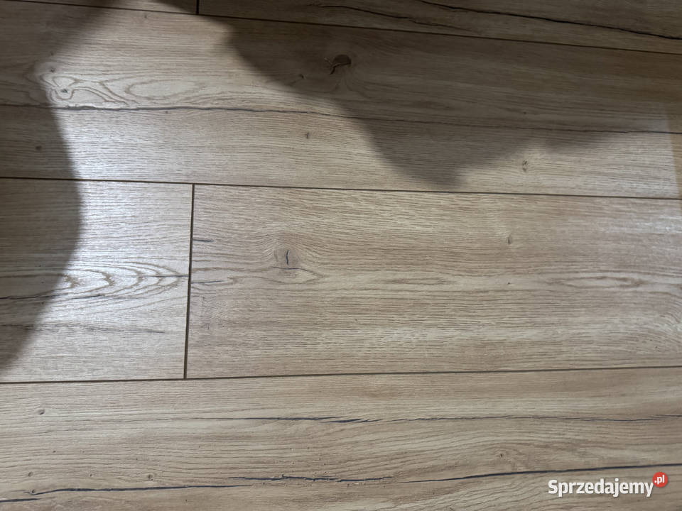 Panele laminowane Swiss Krono Aurum Dąb Breve Łódź