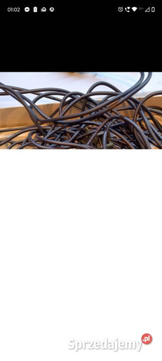 Lampki choinkowe 16 dolnośląskie Leśna