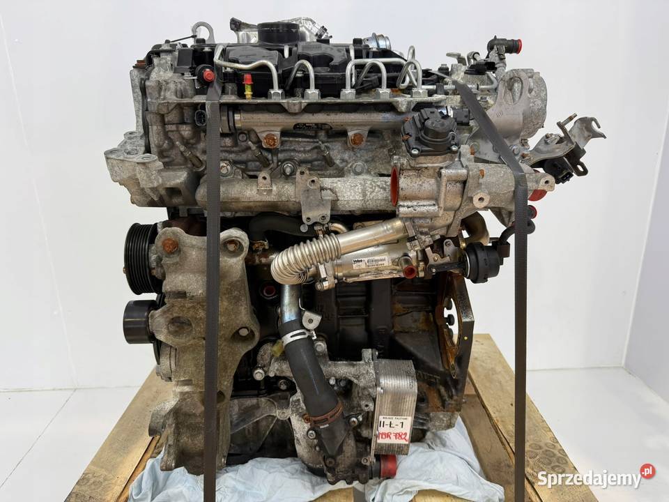 SILNIK M9R782 Renault Trafic Nissan Primastar osobowe Chełm