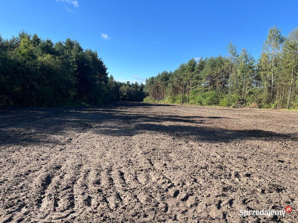 Mulczowanie wgłębne powierzchowne Chrzanów