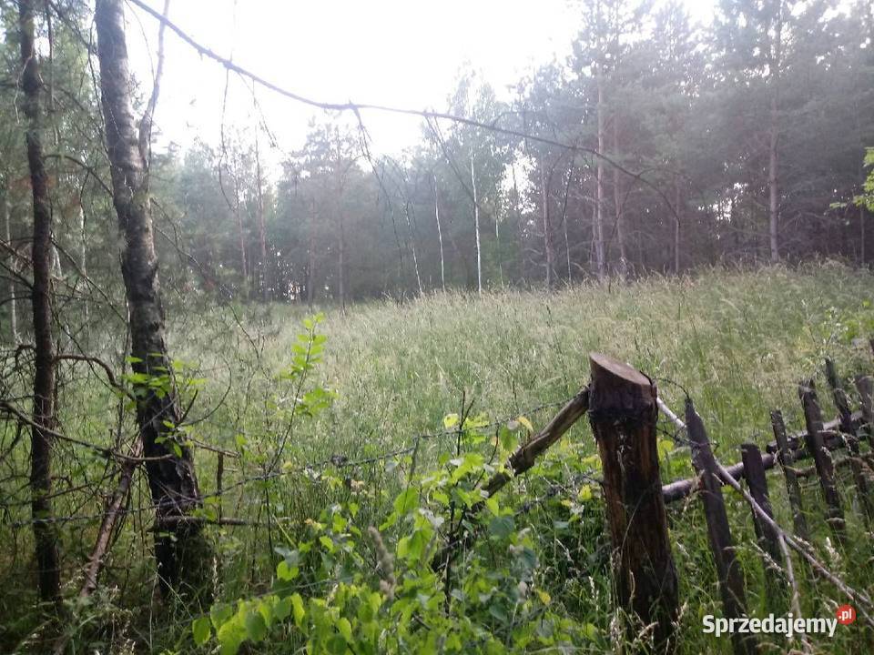 Sprzedam działę w Worytach na Warmii Woryty sprzedam