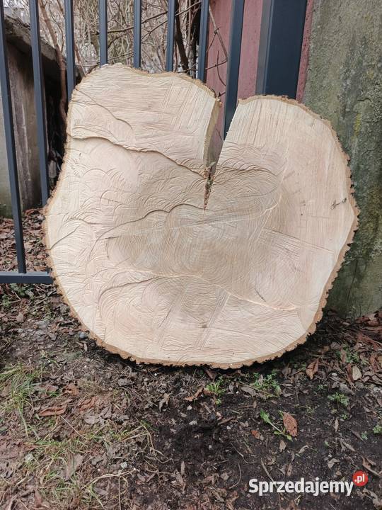 Plaster drewna Jesion 90 Bytom sprzedam