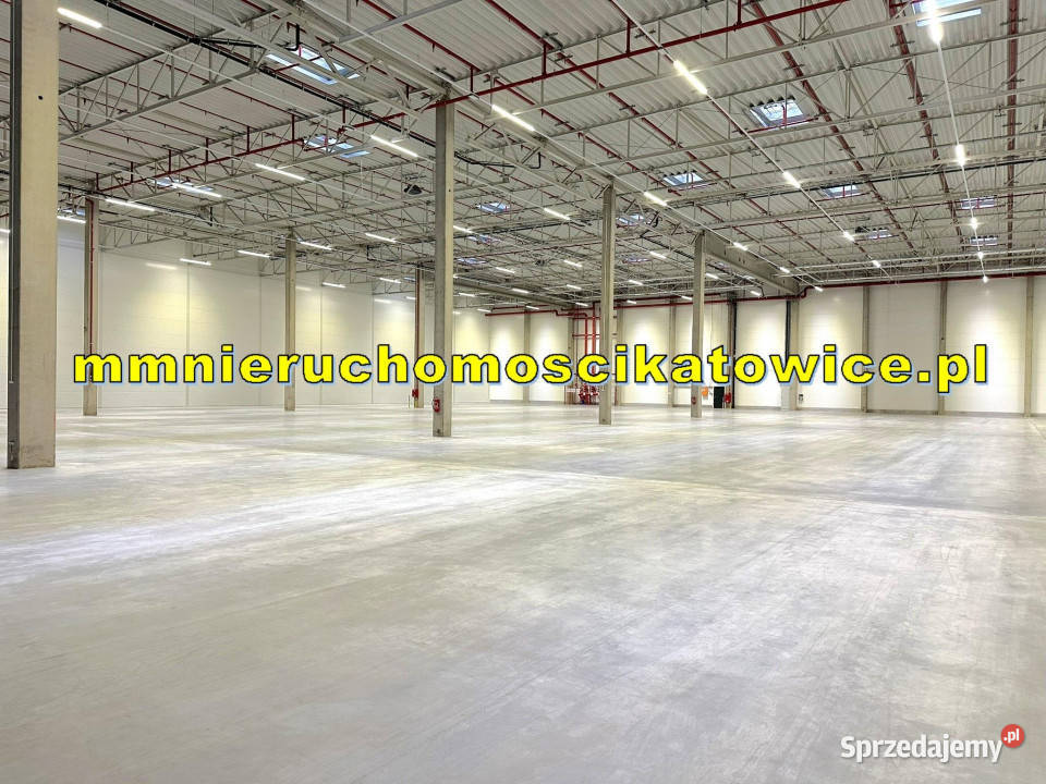 Magazyny do wynajęcia śląskie Katowice DTŚ rampy 3430m2 śląskie