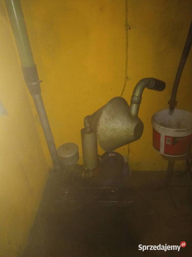 Dojarka Westfalia z hali udojowej