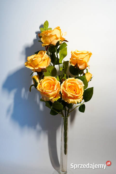Bukiet róż w kolorze żółtym śląskie Częstochowa