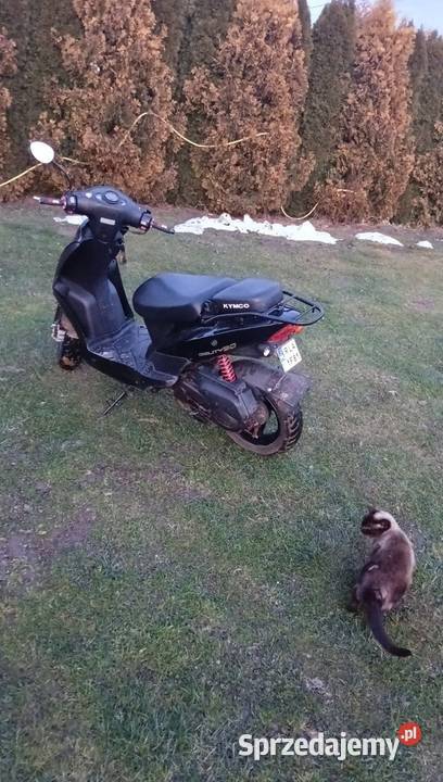Skuter kymco agility 50 4t automatyczna Wysoka sprzedam
