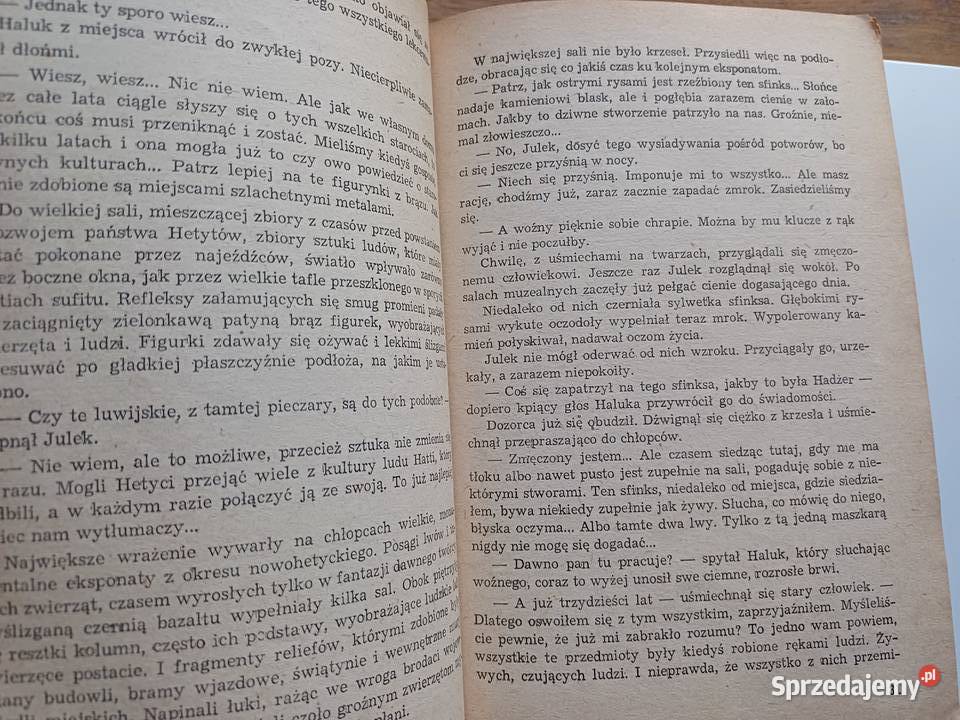 W cieniu hetyckiego sfinksa Eugeniusz Paukszta przygodowe Kraków